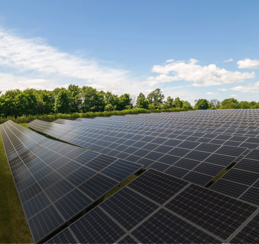 Ahorra con focos LED Mercury de altaeficiencia